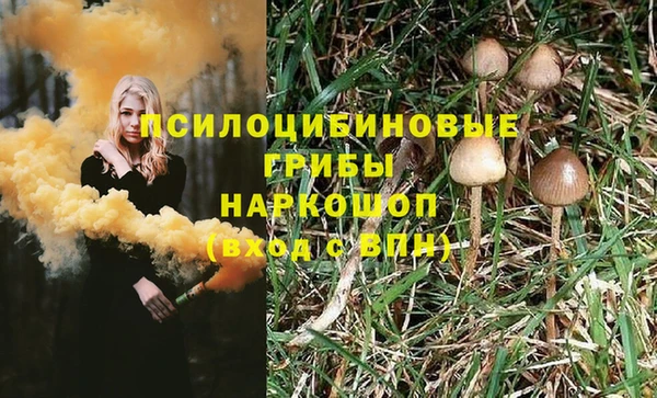 2c-b Пересвет