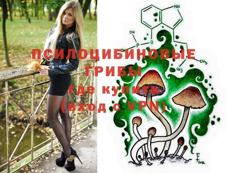 Псилоцибиновые грибы Psilocybe Ардон