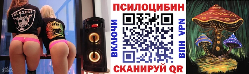 Псилоцибиновые грибы Cubensis  Ардон 